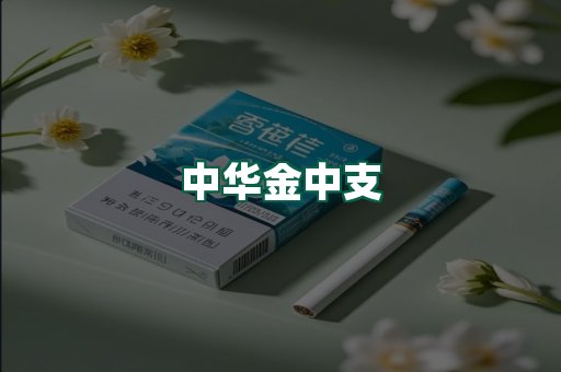 中华金中支